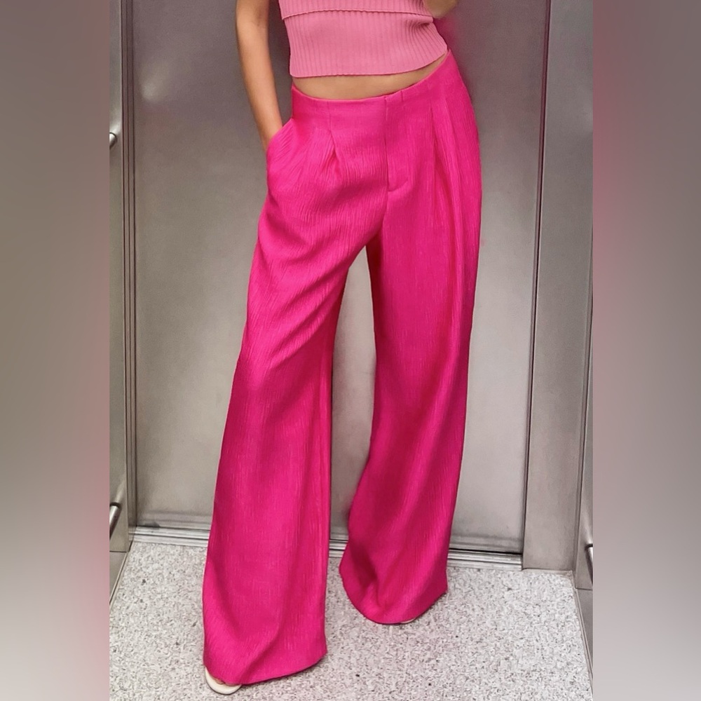 Zara wide leg pants with darts